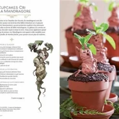 Harry Potter - Festins Et Festivités - Loisirs Créatifs -Les 4 Maisons Boutique livre idees decorations harry potter