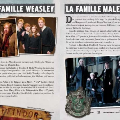 Livre La Bataille De Poudlard -Les 4 Maisons Boutique livre la bataille de poudlard 02