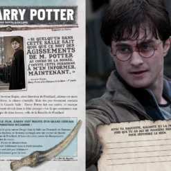 Livre La Bataille De Poudlard -Les 4 Maisons Boutique livre la bataille de poudlard 1