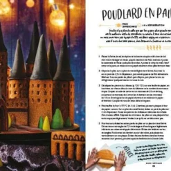 Harry Potter - Le Livre De Cuisine Officiel -Les 4 Maisons Boutique pain depices harry potter poudlard