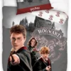 Parure De Lit Harry Potter Trio - 1 Personne -Les 4 Maisons Boutique parure draps de lit housse et taille oreiller harry potter ron weasley hermione granger