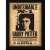 Plaque Undesirable N°1 - Noble Collection - Harry Potter -Les 4 Maisons Boutique plaque undesirable no 1 harry potter noble collection