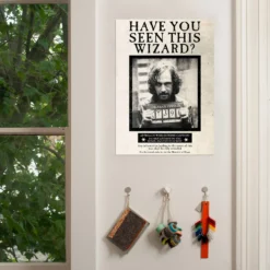 Poster Sirius Black "Have You Seen This Wizard" - MinaLima -Les 4 Maisons Boutique poster have you seen this wizard sirius black