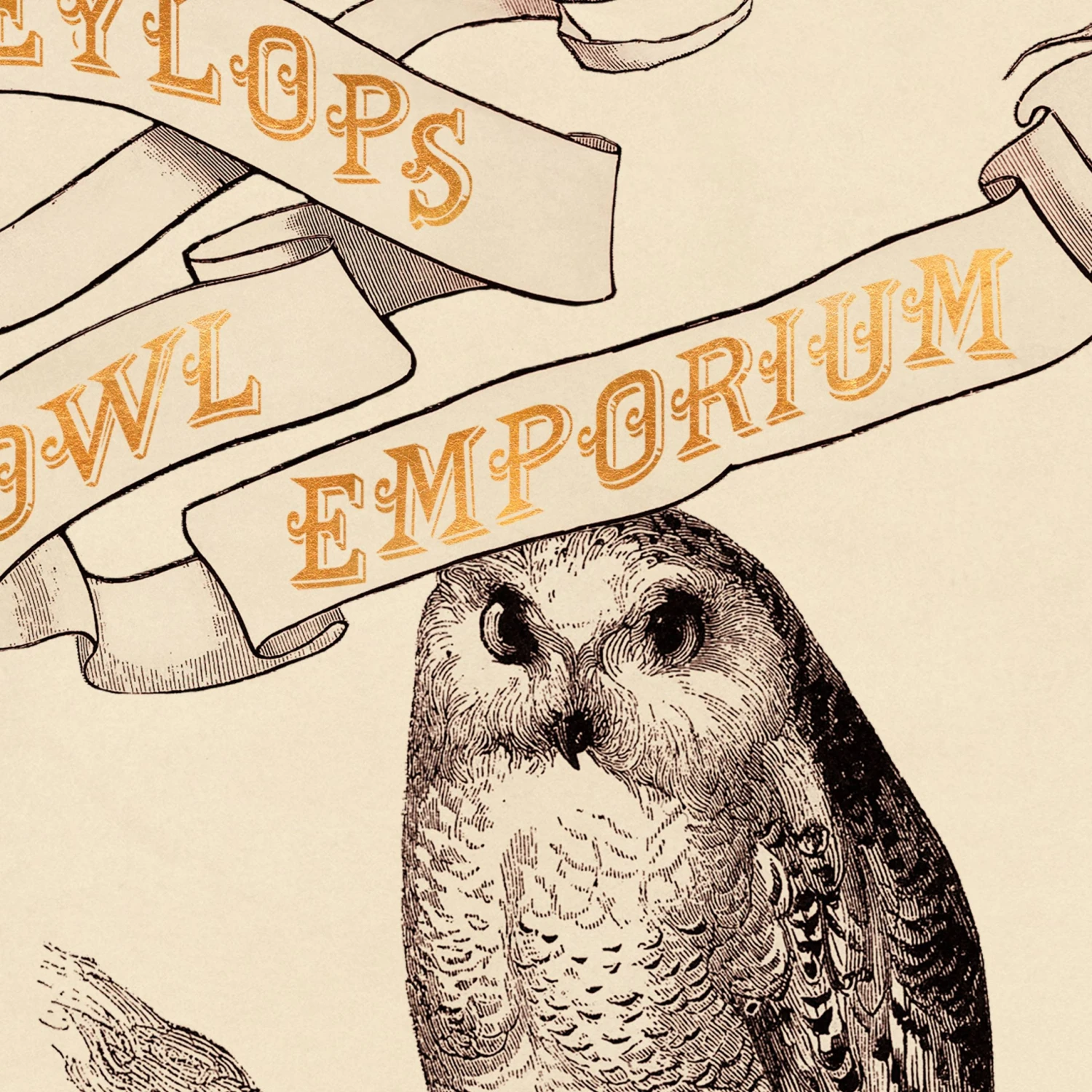 Poster Eeylops Owl Emporium - MinaLima 4 Poster Eeylops Owl Emporium - MinaLima – Image 2