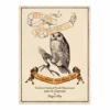 Poster Eeylops Owl Emporium - MinaLima -Les 4 Maisons Boutique poster minalima feylors owl emporium diagon alley