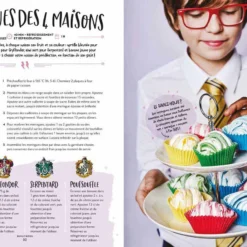 Harry Potter - Le Livre De Cuisine Officiel -Les 4 Maisons Boutique recettes cuisine harry potter