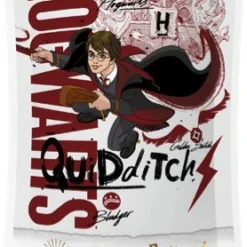 Sachet 10 Goûts Jelly Beans - Harry Potter -Les 4 Maisons Boutique sachet bonbon jelly beans 10 gouts harry potter 02