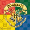 Pack 20 Serviettes En Papier Harry Potter