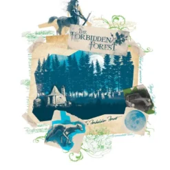 FANATTIK Set De 10 Lithographies Harry Potter De Qualité Supérieure -Les 4 Maisons Boutique set 10 lithographies harry potter 04