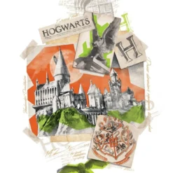 FANATTIK Set De 10 Lithographies Harry Potter De Qualité Supérieure -Les 4 Maisons Boutique set 10 lithographies harry potter 07