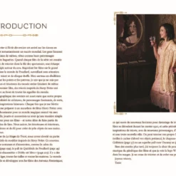 Harry Potter - La Magie Du Tricot 2 - Nouveaux Modèles -Les 4 Maisons Boutique tricot echarpe harry potter